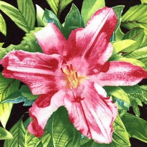 Hibiscus-Glory-Block-Image-1-1